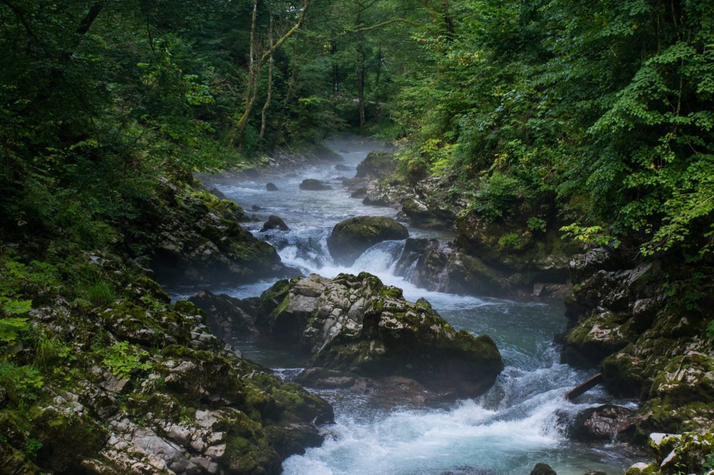 the water running down the Vintgar Gorge in Slovenia
