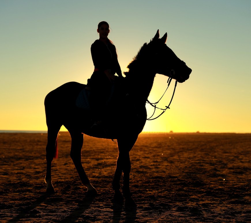 A Woman riding a horse Photo by Chema Photo on Unsplash