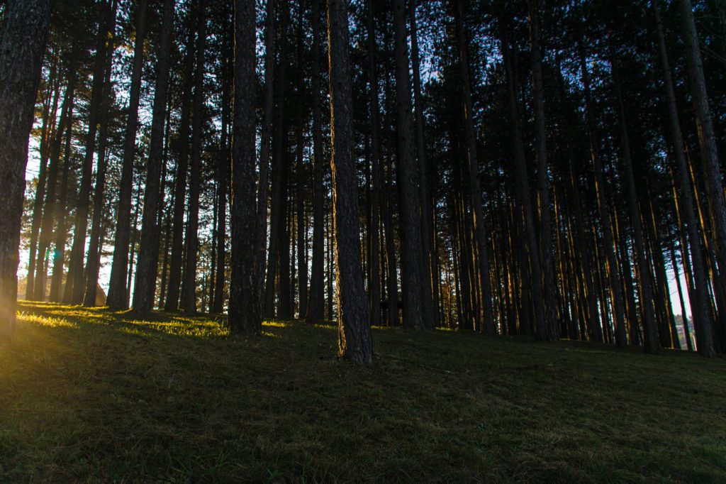 Zlatibor, Serbia, September 2018