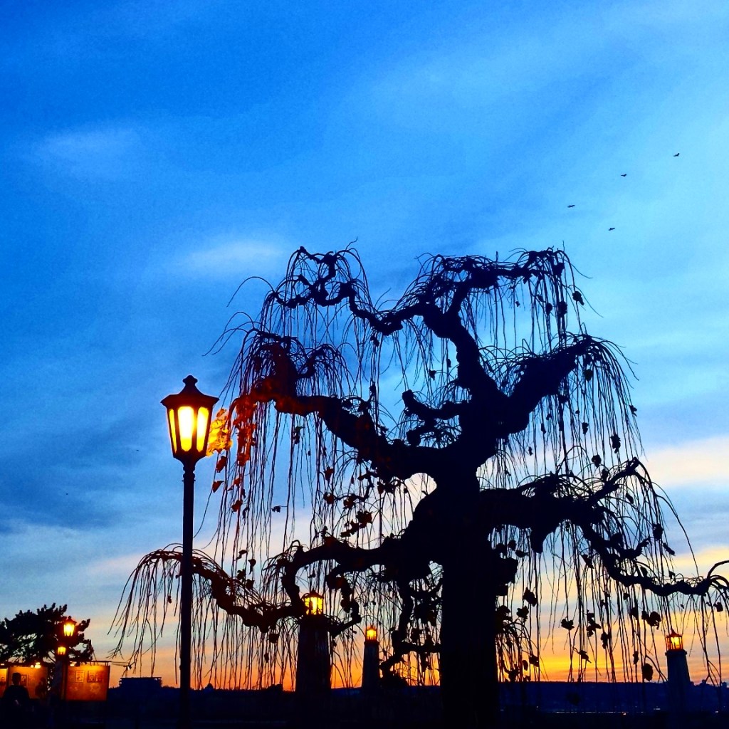 Belgrade Kalemegdan at Sunset