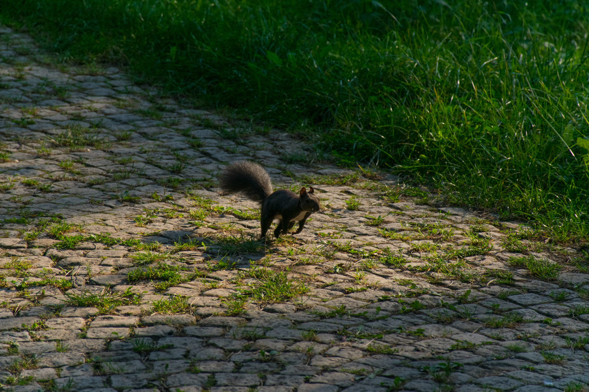 Zlatibor, Serbia, September 2018