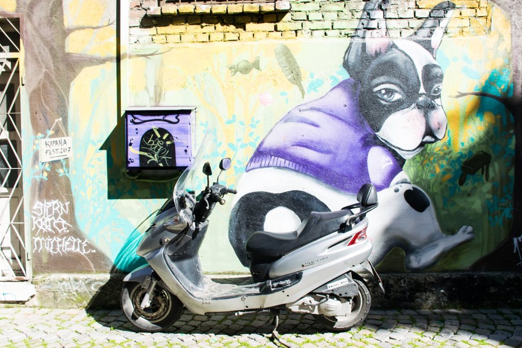 Giant dog painted on a wall in Plovdiv