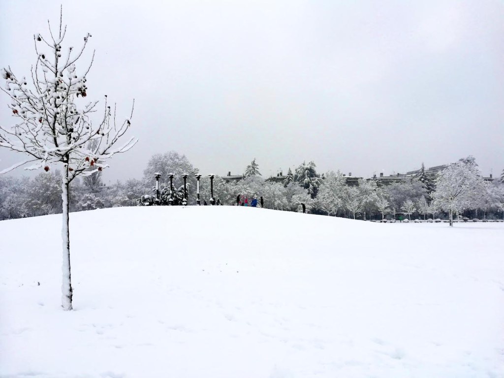 Kids playing in the snow in New Belgrade